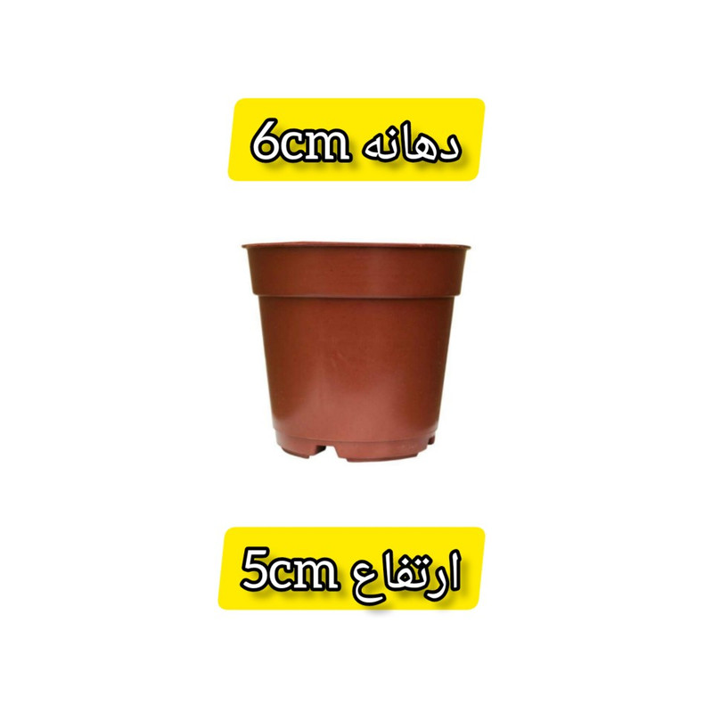 گلدان مدل a06 بسته 49 عددی