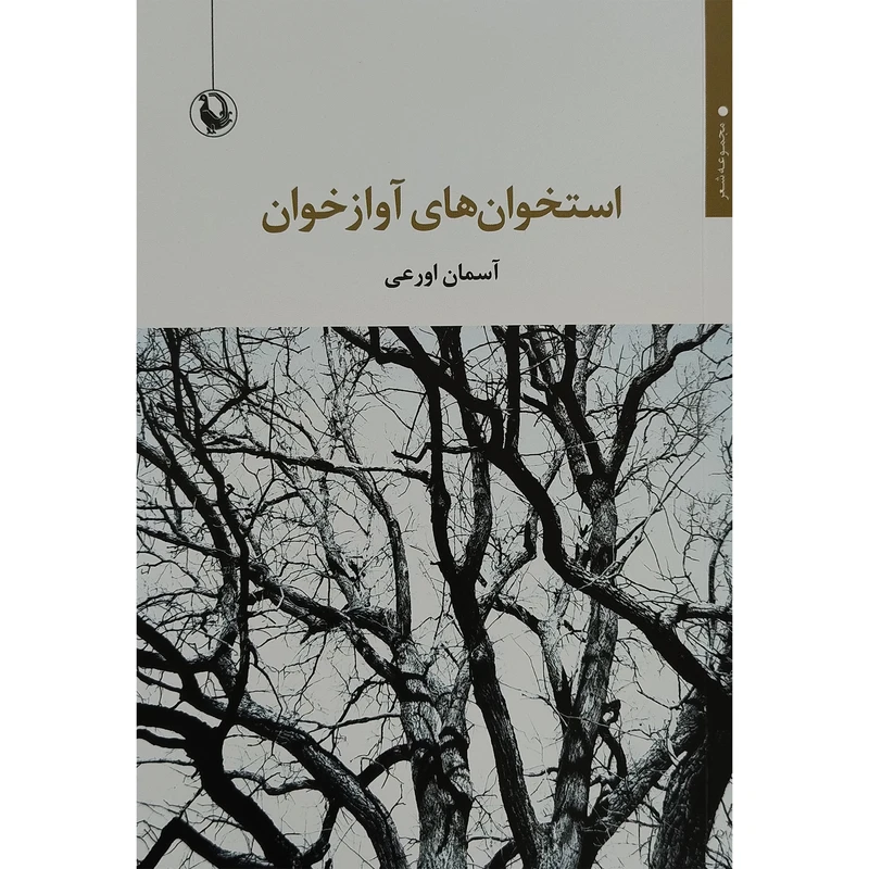 کتاب استخوان های آوازخوان اثر آسمان اورعی انتشارات مروارید