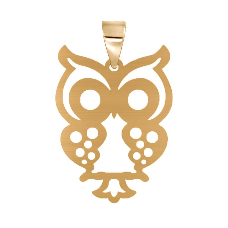 آویز گردنبند نقره مدل جغد آبکاری