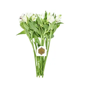 دسته گل الستر مریا سفید هیمان کد 1071
