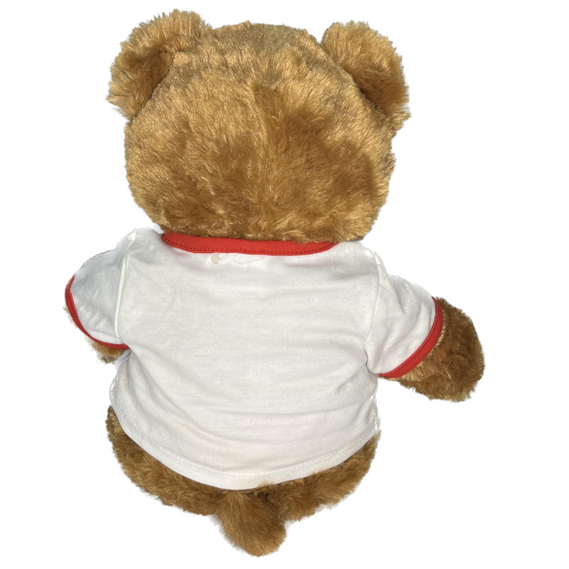 عروسک طرح خرس مدل Build a Bear Teddy Bear  کد SZ13/1184 ارتفاع 41 سانتی‌متر