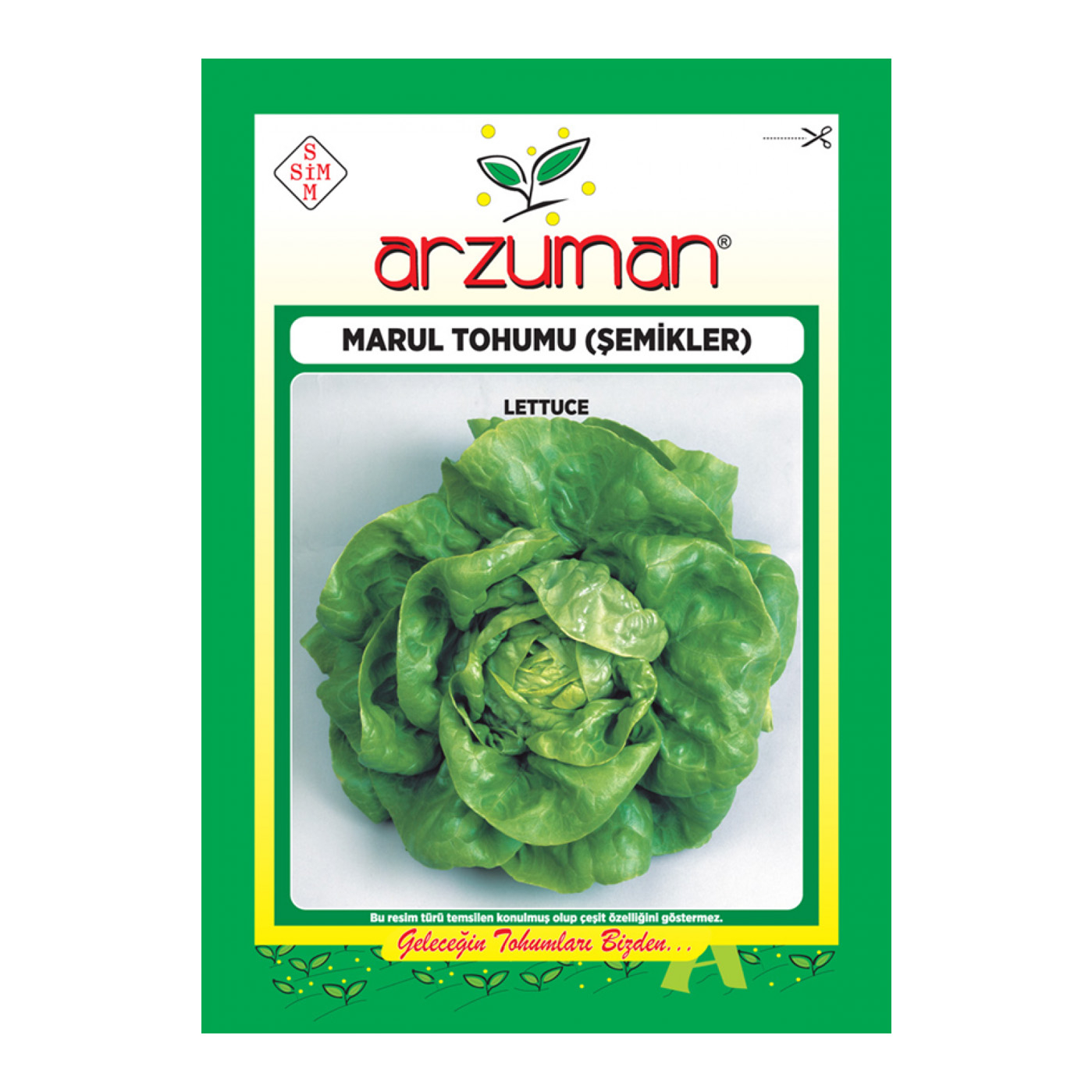 بذر کاهو گلی آرزومان کد 11565