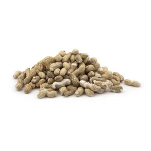 بادام زمینی با پوست Fresh مقدار 500 گرم