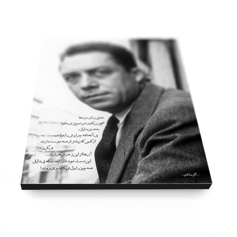 تابلو شاسی مدل آلبر کامو کد 4G350