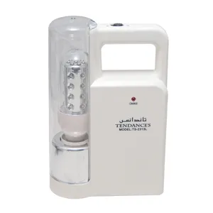 چراغ فانوسی تاندنس مدل TS-313L