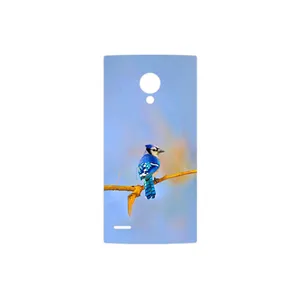 MAHOOT Cyanocitta cristata Cover Sticker for LG FX0 Firefox