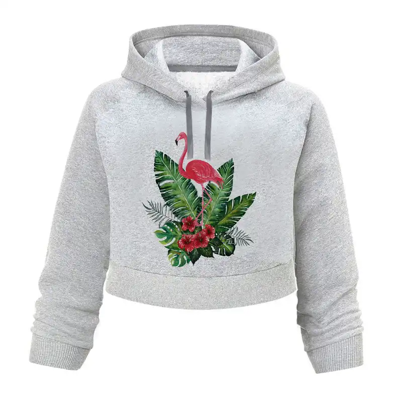 هودی کراپ زنانه مدل فلامینگو کد L450 t