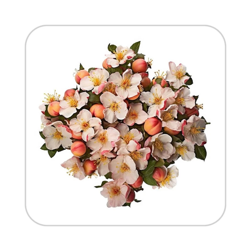 زیر لیوانی کاکتی طرح گل مدل mp16529