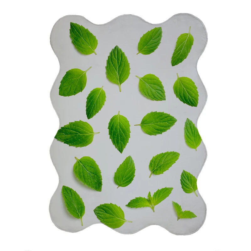 پادری مدل دالبر طرح نعنا کد 6303 سایز 80x110 سانتی متر 