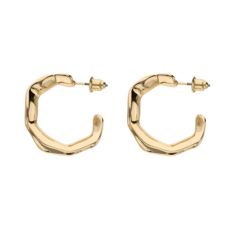 گوشواره زنانه مدل Forged hoops