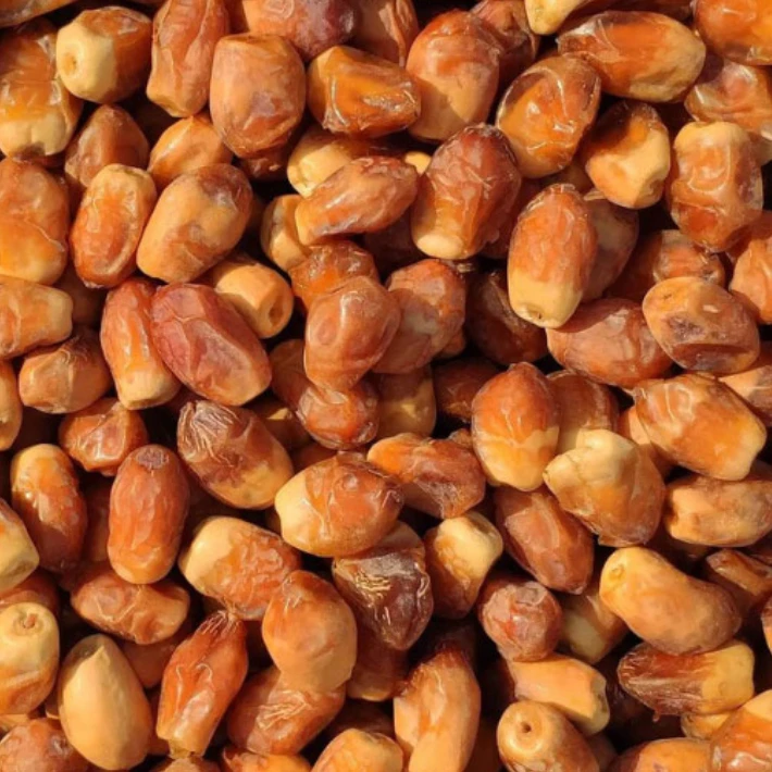 عکس شماره 2 : خرما زاهدی سونیتاک-1000 گرم