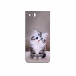 MAHOOT Cat-2 Cover Sticker for BlackBerry KEYONE