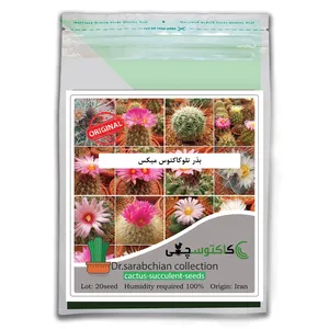 بذر تلوکاکتوس میکس کاکتوسچی مدل AM-065
