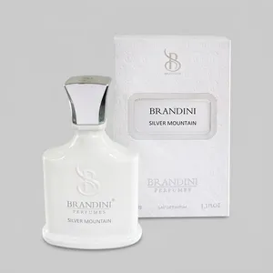 عطر جیبی  برندینی مدل Silver Mountain حجم 33 میلی لیتر