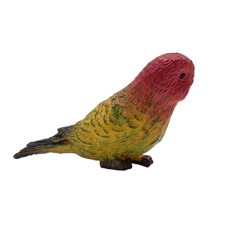 فیگور ناب سل مدل مرغ عشق کد BUDGERIGAR NAAB007 ارتفاع 3 سانتی متر