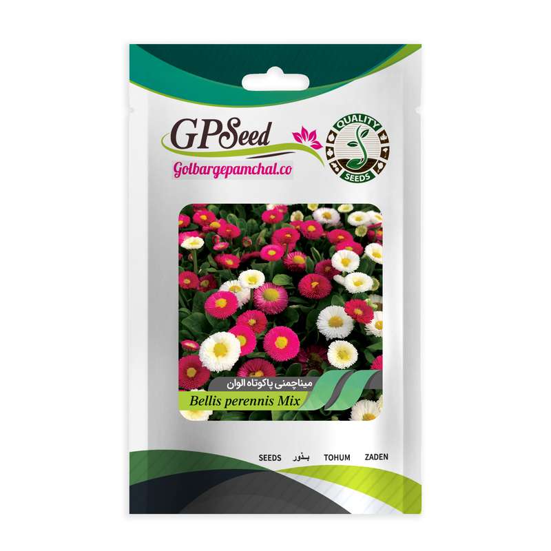 بذر گل مینا چمنی پاکوتاه الوان گلبرگ پامچال کد GPF-085