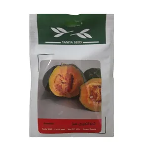 بذر کدو انجیری سبز وانیا سید کد W30