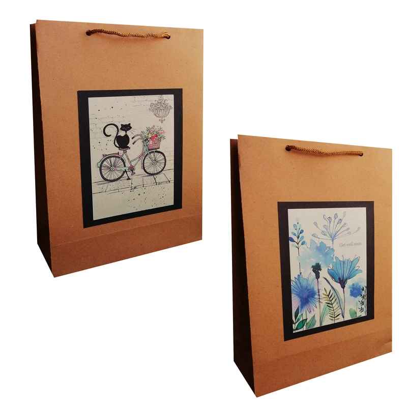 ساک هدیه مدل کادویی مجموعه 2 عددی