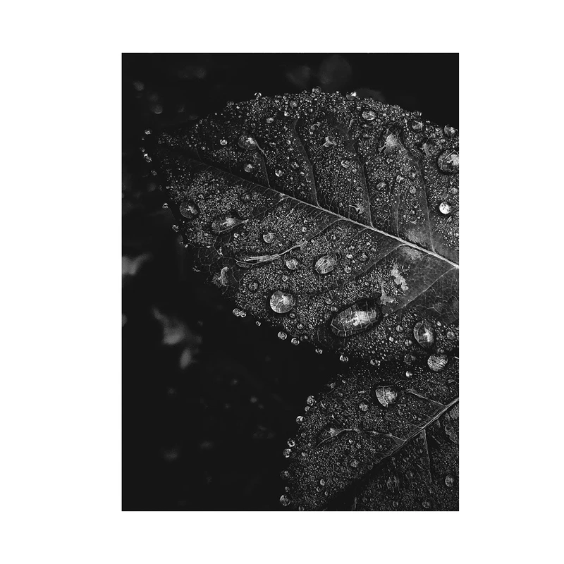 تابلو شاسی مدل برگ مرطوب کد TS105