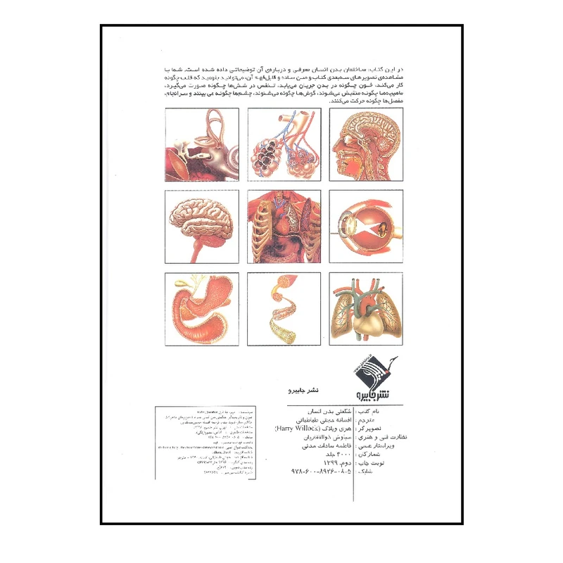 عکس شماره 2