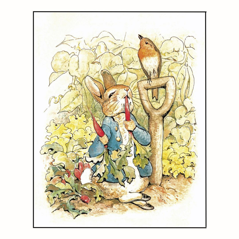 پوستر مدل  داستان کتاب  