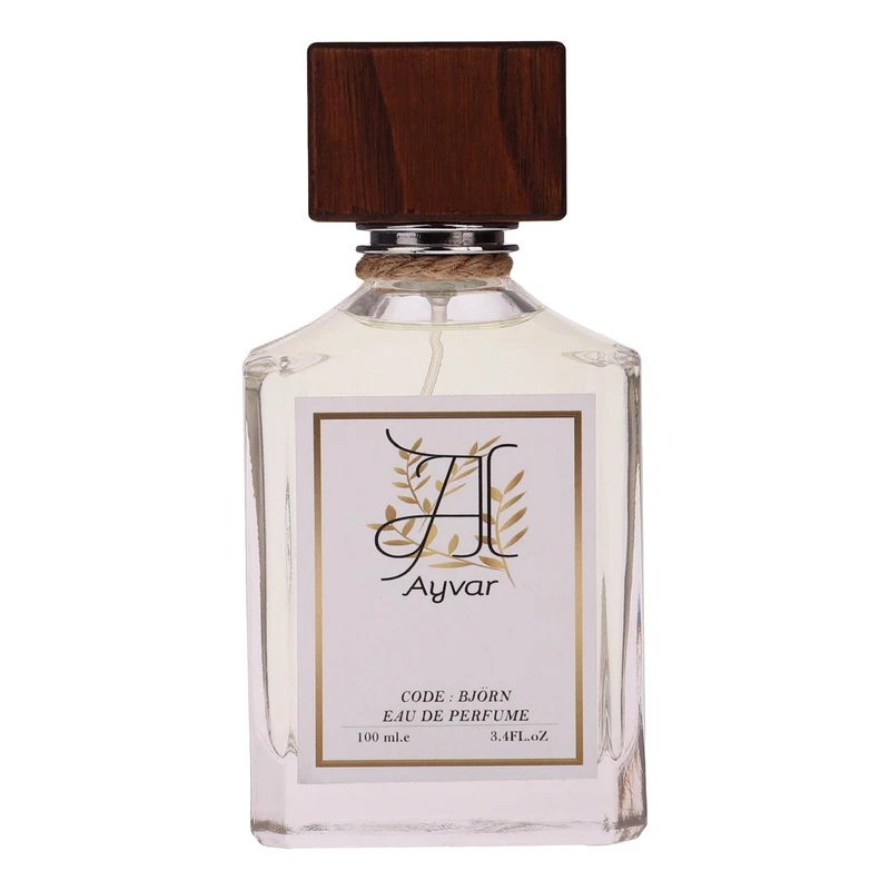ادوپرفیوم مردانه آیوار مدل Bjorn با رایحه خنک و معتدل حجم 100 میلی لیتر