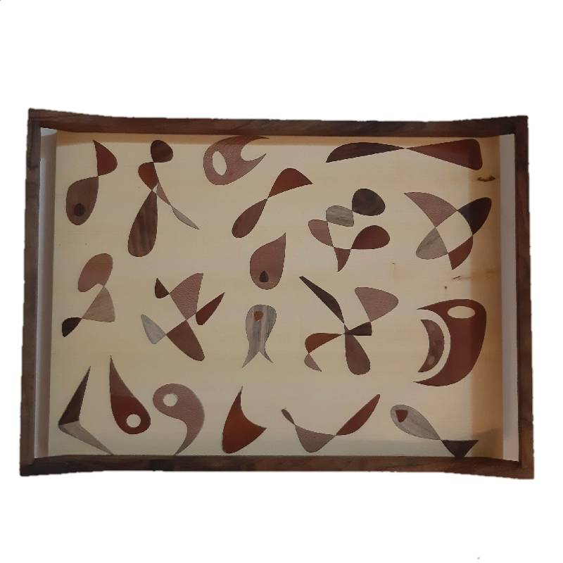 سینی مدل A111