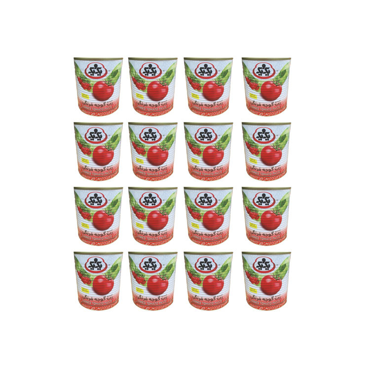 رب گوجه فرنگی یک و یک -800 گرم مجموعه 12 عددی
