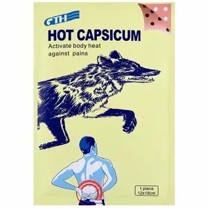 چسب ضد درد مدل GTH1 بسته10 عددی