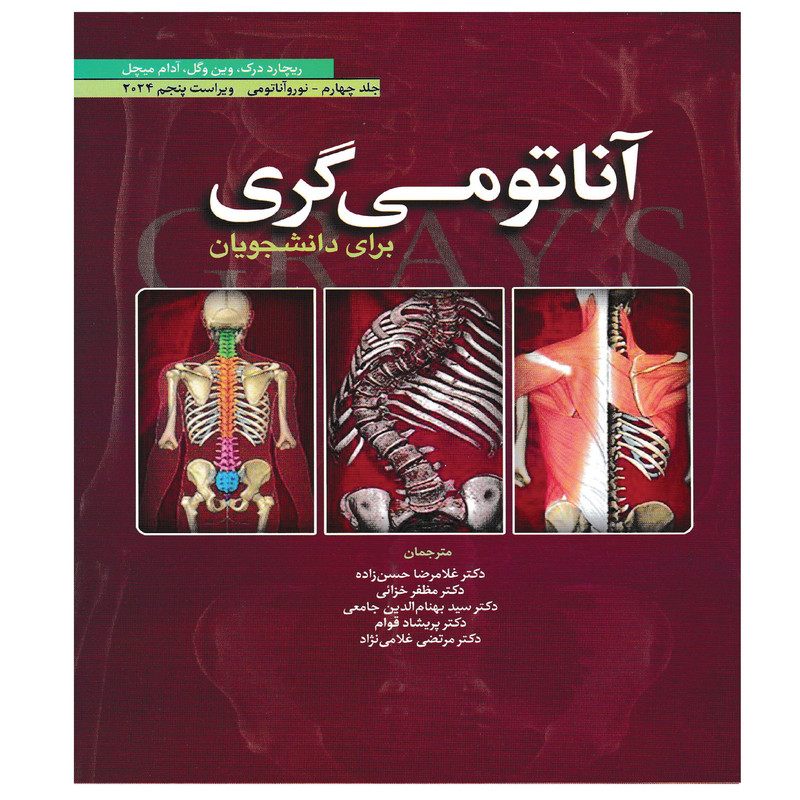 کتاب آناتومی گری برای دانشجویان نوروآناتومی 2024 اثر جمعی از نویسندگان انتشارات ابن سینا جلد 4