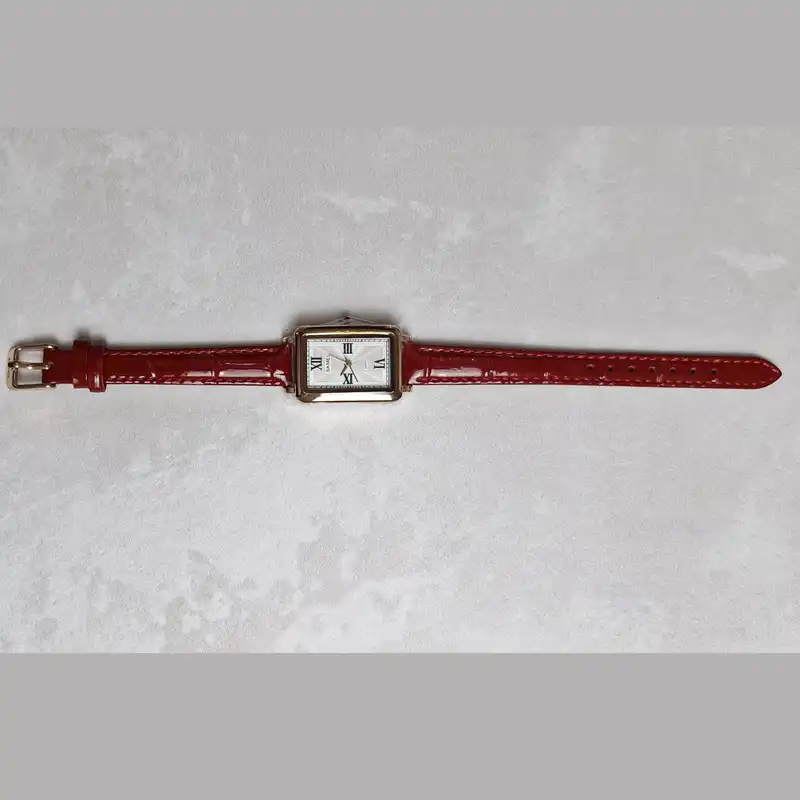 ساعت مچی عقربه ای زنانه اسکمی مدل 2171RGRD