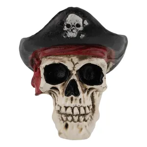 مجسمه مدل جمجمه دزد دریایی