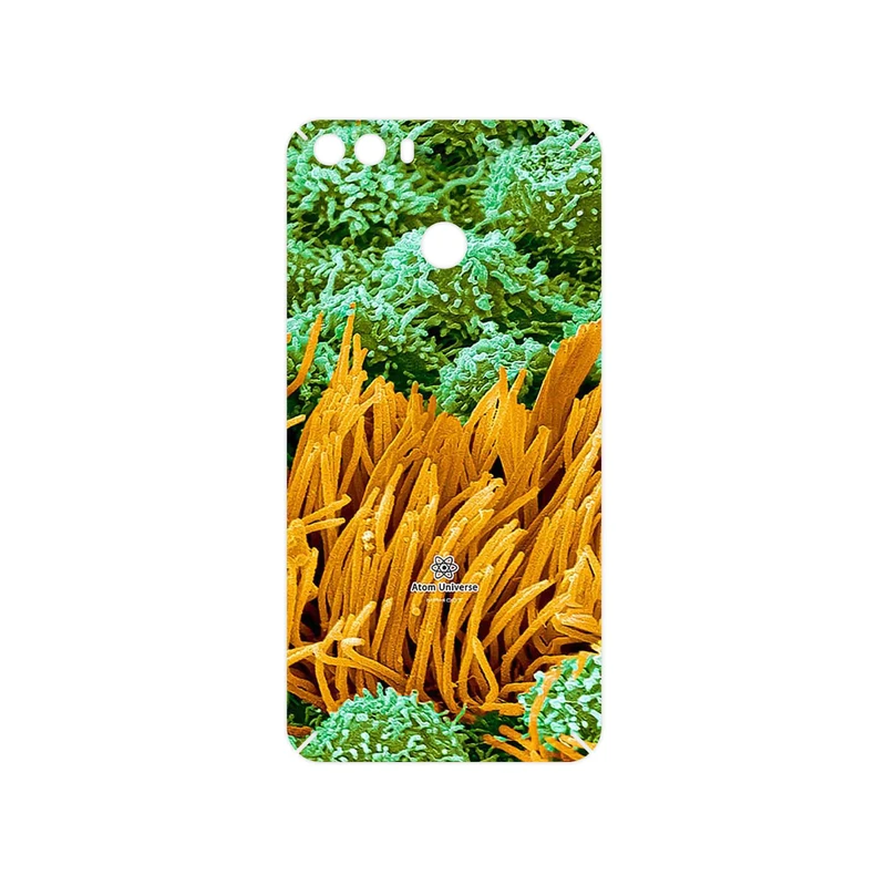 برچسب پوششی ماهوت مدل Atom Universe 6 مناسب برای گوشی موبایل جی ال ایکس Sepehr