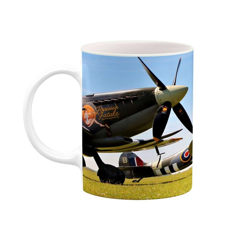 ماگ کاکتی مدل هواپیمای جنگنده کد mgh10650