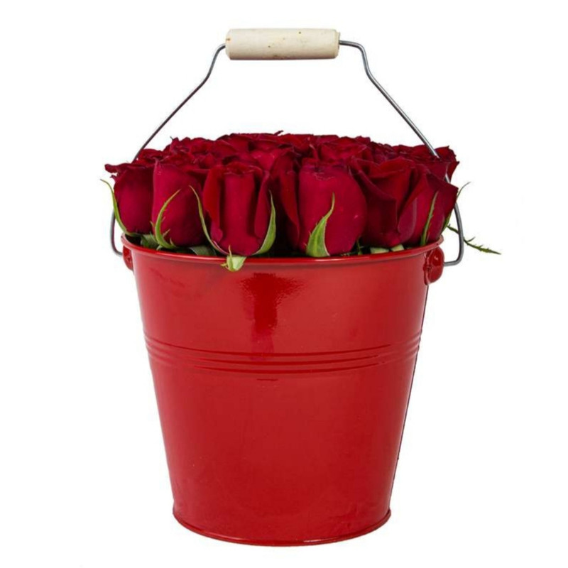 سطل گل رز هلندی مدل 015