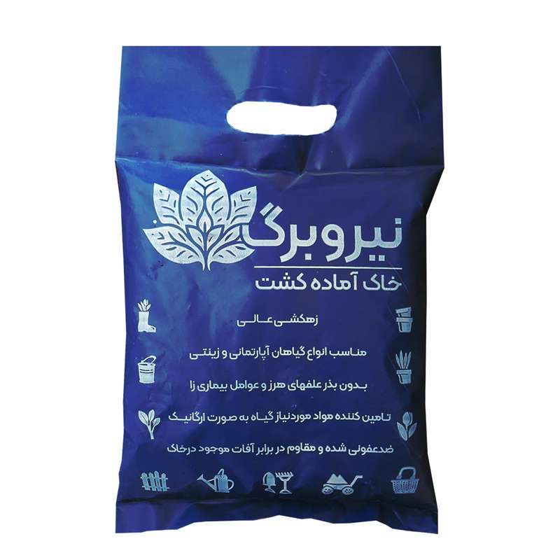 خاک کاکتوس نیروبرگ مدل 2n حجم 2 لیتر