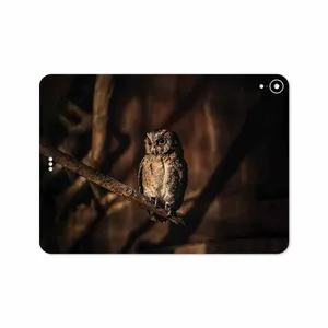 MAHOOT Owl Cover Sticker for Apple iPad Pro 11 2018 A1979