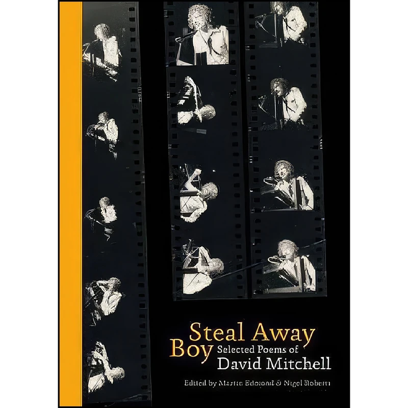 کتاب Steal Away Boy اثر Martin Edmond and Nigel Roberts انتشارات Auckland University Press