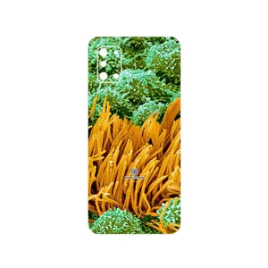 MAHOOT Atom Universe 6 Cover Sticker for Samsung Galaxy A31