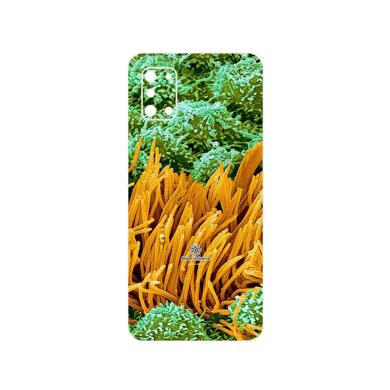 برچسب پوششی ماهوت مدل Atom Universe 6 مناسب برای گوشی موبایل سامسونگ Galaxy A31