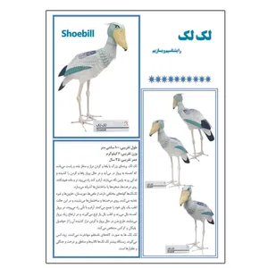 کتاب لک لک را بشناسیم و بسازیم اثر م محمد دوست انتشارات کاردستی