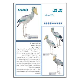 کتاب لک لک را بشناسیم و بسازیم اثر م محمد دوست انتشارات کاردستی