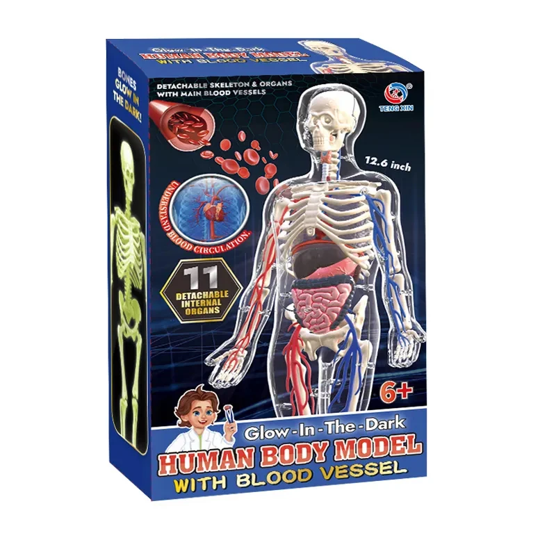 بازی آموزشی تنگ ژین مدل مولاژ بدن انسان کد WPX--016