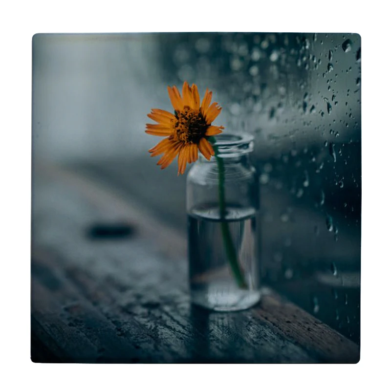 زیر لیوانی طرح گل صحرایی کد    2825278_147