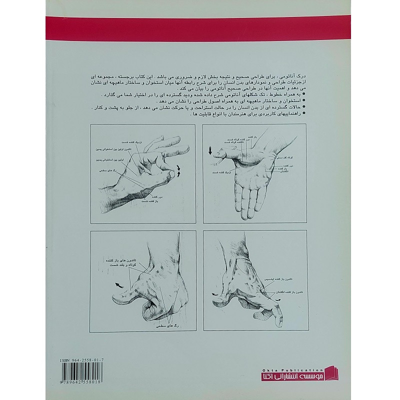 کتاب آموزش طراحی آناتومی بدن اثر جیووانی چیواردی انتشارات اکتا کتاب آموزش طراحی آناتومی بدن اثر جیووانی چیواردی انتشارات اکتا