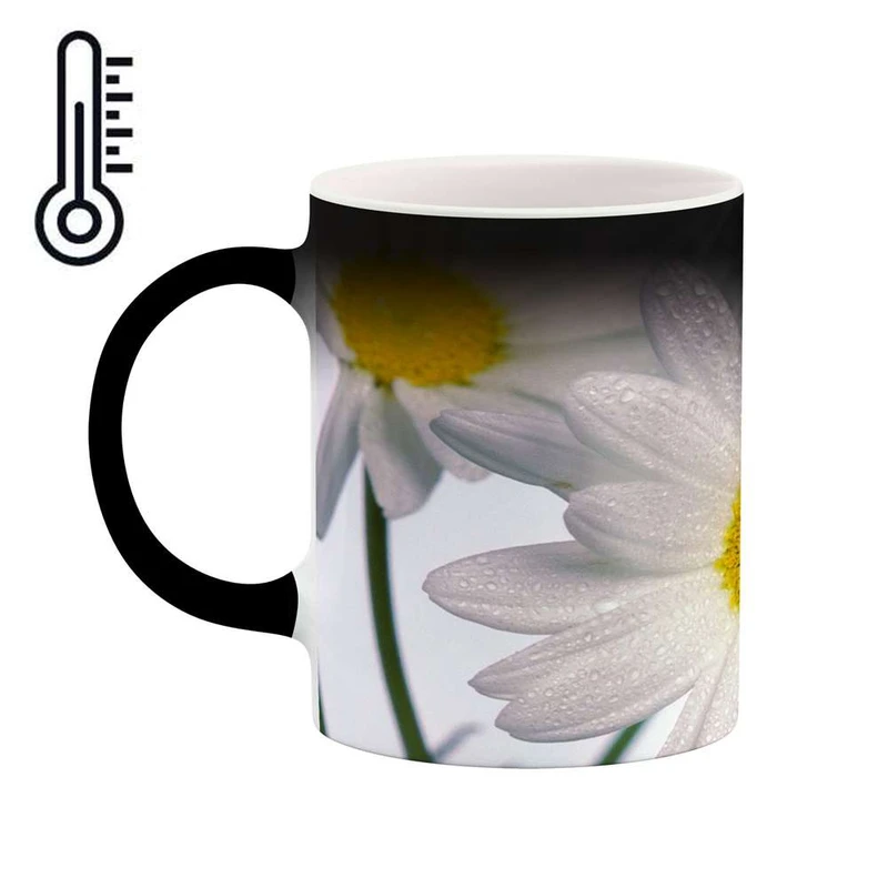 ماگ حرارتی کاکتی مدل گل کد mgh12063