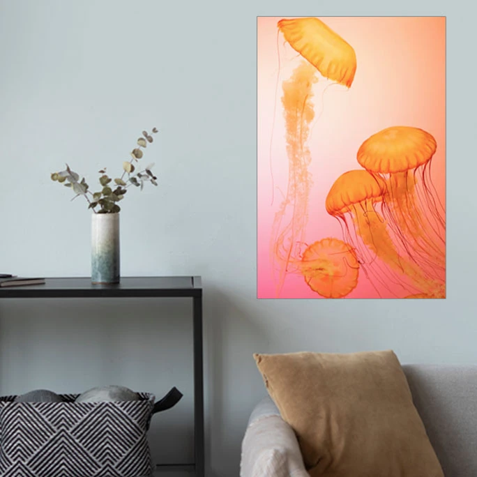 پوستر گوفی مدل والپیپر عروس دریایی زیبا طرح طبیعت و گردشگری Nature Sea Jellyfish 4K کد ORNG45