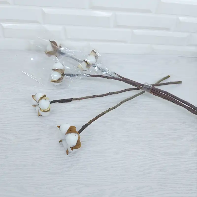 گل خشک مدل شاخه پنبه بسته ی 5 عددی