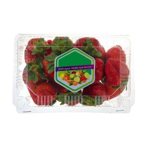توت فرنگی میوه پلاس - 500 گرم