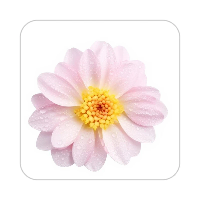 زیر لیوانی کاکتی طرح گل مدل mp17536